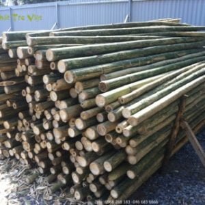Cọc tre 2.5m