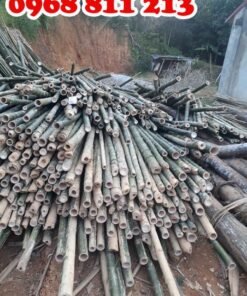 các loại cọc tre tốt