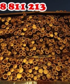 cọc tre 2.5m tại coctre88