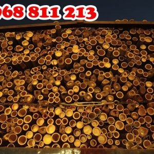 cọc tre 2.5m tại coctre88