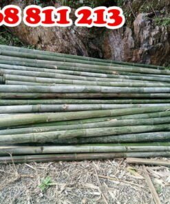 cọc tre 2m loại tốt