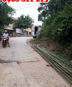 cọc tre chất lượng