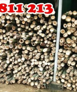 cọc tre chất lượng cao