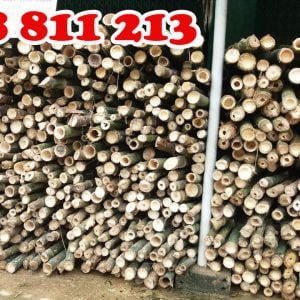 cọc tre chất lượng cao