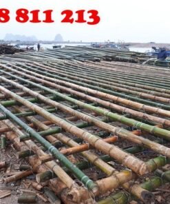 cọc tre luồng xây dựng