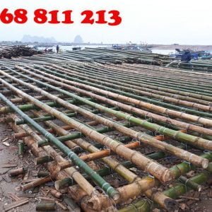 cọc tre luồng xây dựng