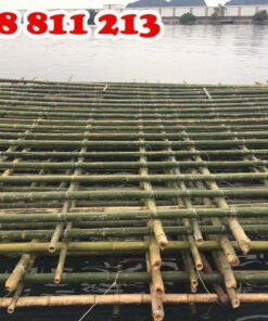 cọc tre xây dựng