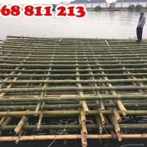 cọc tre xây dựng