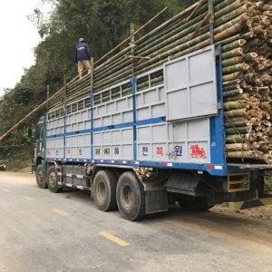 phân phối cọc tre luồng trên toàn quốc