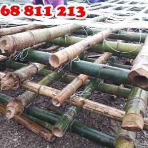 thi công cọc tre luồng dài