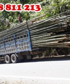 vận chuyển cọc tre dài