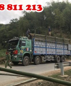 vận chuyển tre luồng