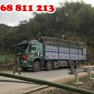 vận chuyển tre luồng
