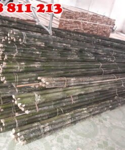 cây dóc cây hóp sào