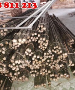 cây dóc, hóp sào