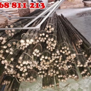 cây dóc, hóp sào