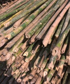 cung cấp hóp đá tốt