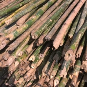 cung cấp hóp đá tốt