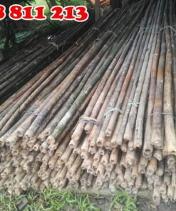 dóc, hóp sào tại coctre88