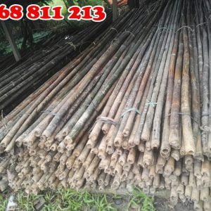 dóc, hóp sào tại coctre88