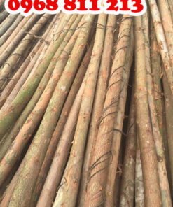 gỗ bạch đàn tươi thẳng 100%