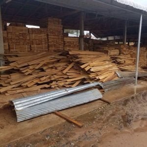 gỗ teak sẻ bản