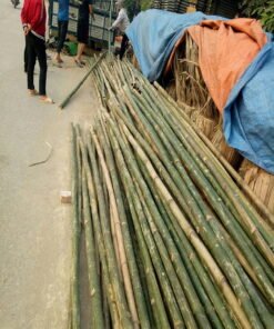 hóp đá chất lượng