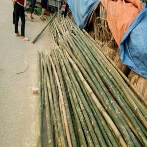 hóp đá chất lượng