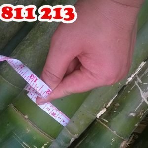 hóp đá chất lượng cao