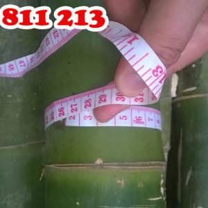 hóp đá loạt tốt