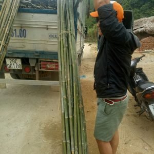 khai thác dóc lứa tươi