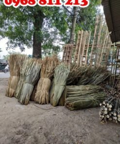 lá cọ khô chất lượng