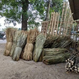 lá cọ khô chất lượng