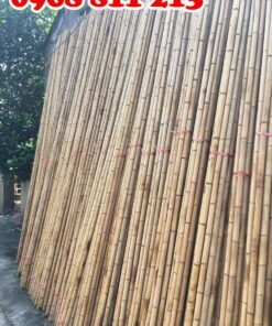 tre trúc các loại