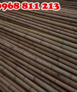 tre trúc dài thon