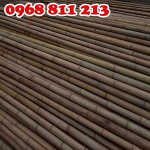 tre trúc dài thon