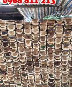 cốp pha gỗ keo tại coctre88