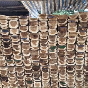 cốp pha gỗ keo tại coctre88