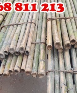 giàn giáo các loại tại coctre88