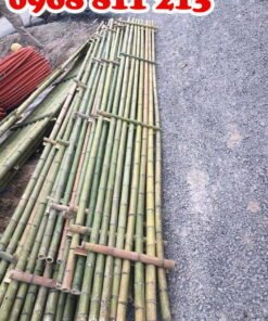 giàn giáo tre loại tốt