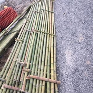 giàn giáo tre loại tốt