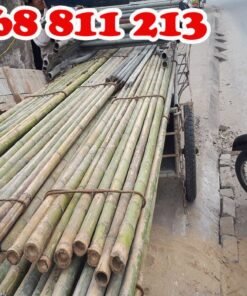 kinh doanh giàn giáo chất lượng