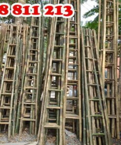 thang tre các loại tại coctre88