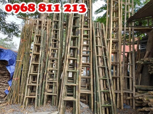 thang tre các loại tại coctre88