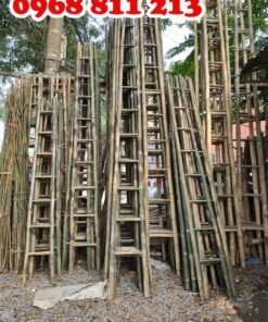 thang tre chất lượng