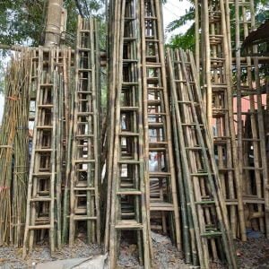 thang tre chất lượng