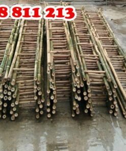 thang tre chất lượng đạt chuẩn