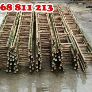 thang tre chất lượng đạt chuẩn