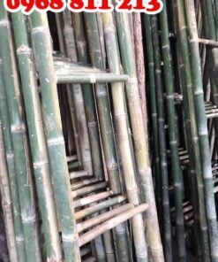 thang tre đẹp giá rẻ