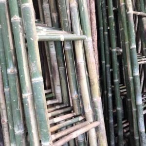 thang tre đẹp giá rẻ